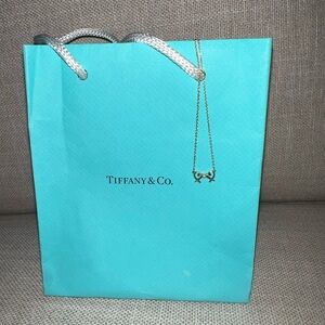 TIFFANY & CO Double loving open hearts diamond Necklace pendant collier